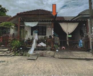 ลำผักกูด(คลองฝั่งใต้) ธัญบุรี ปทุมธานี