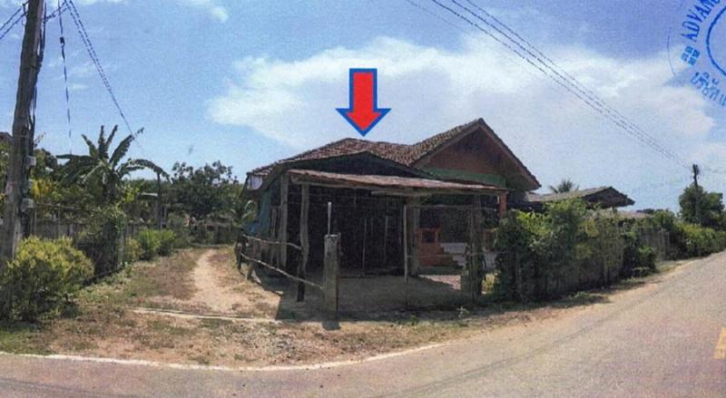 ป่าซาง เวียงเชียงรุ้ง เชียงราย