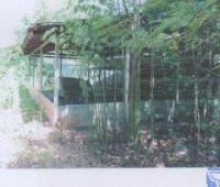ขายบ้านเดี่ยว