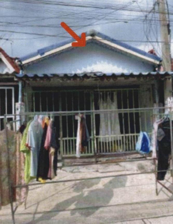 ในคลองบางปลากด พระสมุทรเจดีย์ สมุทรปราการ