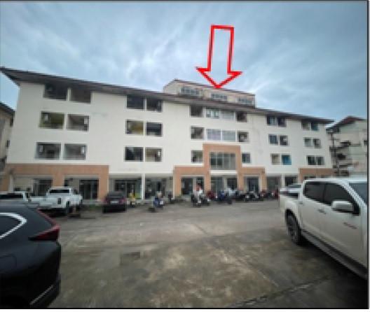 ปลวกแดง ปลวกแดง ระยอง