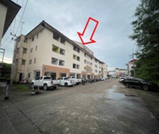 ปลวกแดง ปลวกแดง ระยอง