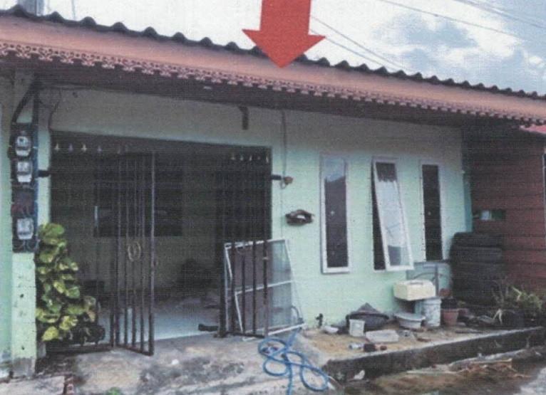 ลำผักกูด(คลองรังสิตฝั่งใต้) ธัญบุรี ปทุมธานี