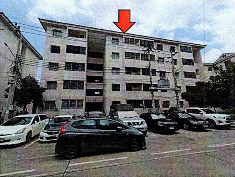 ศีรษะจรเข้ใหญ่ บางเสาธง สมุทรปราการ