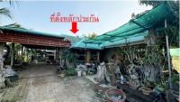 ขายบ้านเดี่ยว