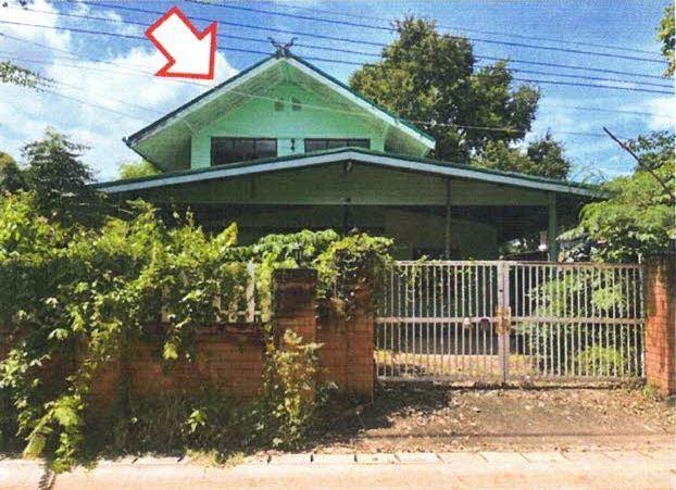 ผักปัง ภูเขียว ชัยภูมิ