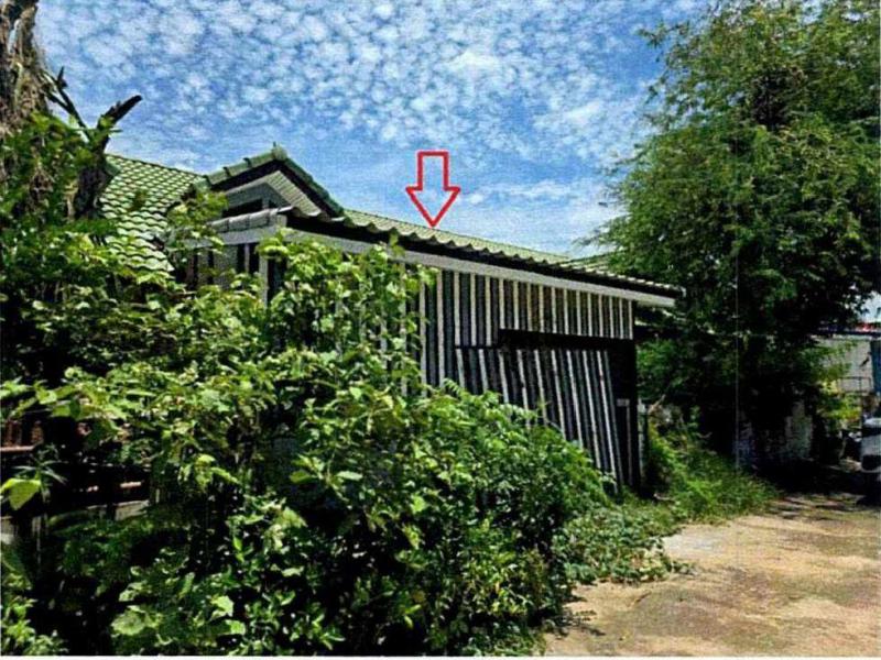 บึงน้ำรักษ์(คลองรังสิตฝั่งใต้) ธัญบุรี ปทุมธานี