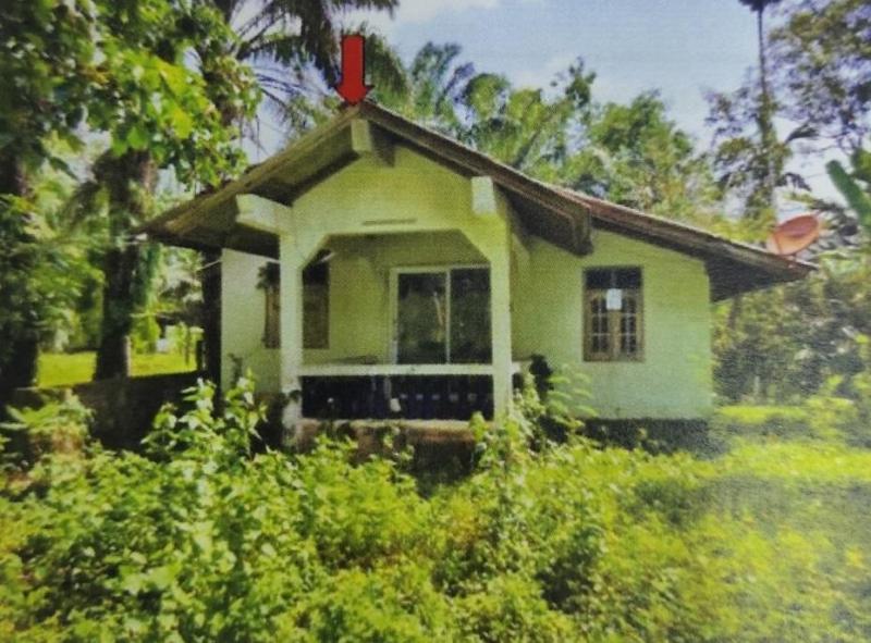 ท่ายาง ทุ่งใหญ่ นครศรีธรรมราช