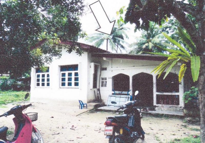 บาลอ รามัน ยะลา