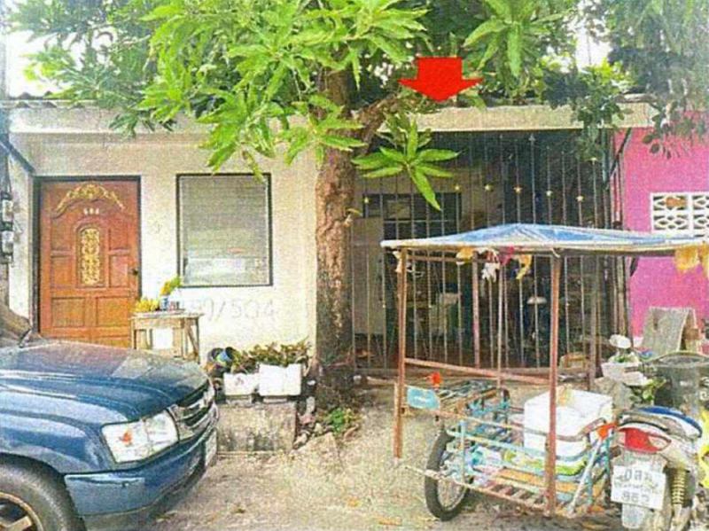 ลำผักกูด ธัญบุรี ปทุมธานี