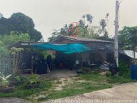 ขายบ้านเดี่ยว วังไผ่ เมืองชุมพร ชุมพร ขนาด 120.1 ตร.ว. ของ ธนาคารอาคารสงเคราะห์