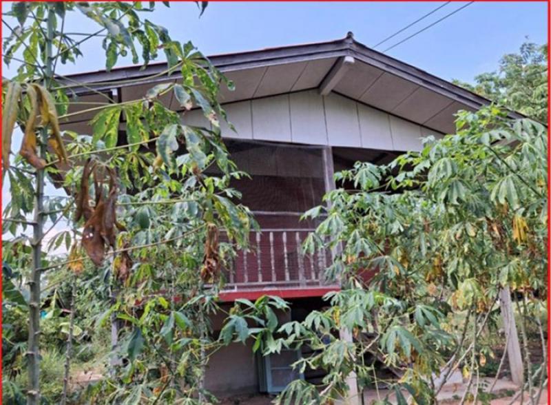 พันดุง ขามทะเลสอ นครราชสีมา