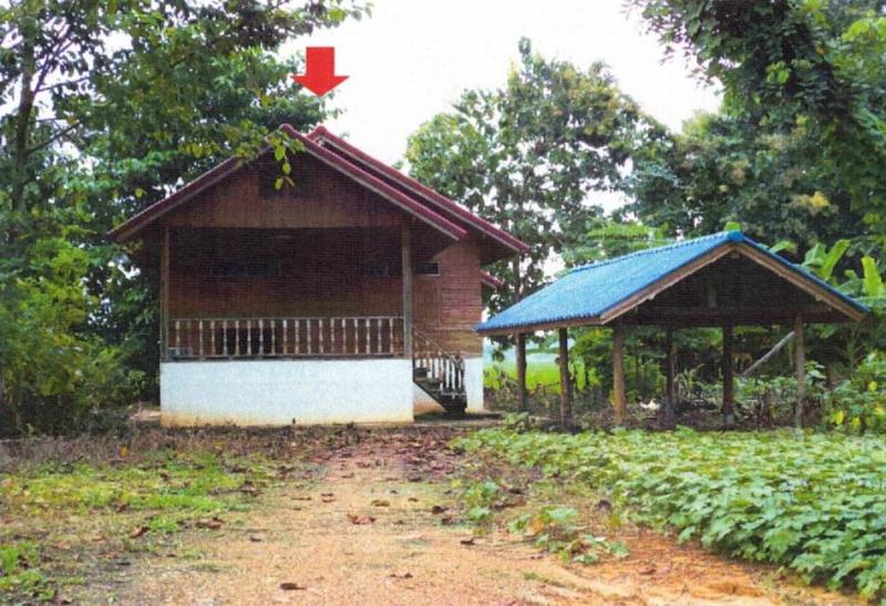 บ้านติ้ว หล่มสัก เพชรบูรณ์