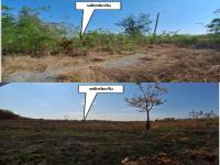 ขายที่ดิน