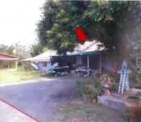 ขายบ้านเดี่ยว