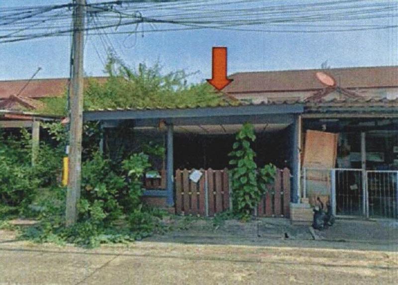 ลำผักกูด(คลองรังสิตฝั่งใต้) ธัญบุรี ปทุมธานี