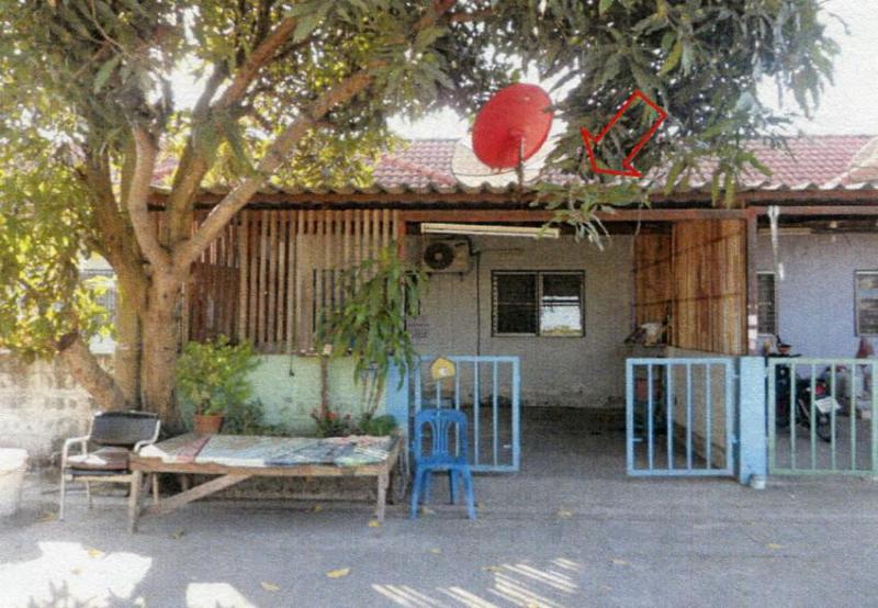 บึงสนั่น(คลองฝั่งใต้) ธัญบุรี ปทุมธานี