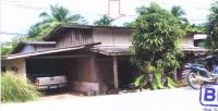 ขายบ้านเดี่ยว ซากอ ศรีสาคร นราธิวาส ขนาด 333 ตร.ว. ของ ธนาคารอาคารสงเคราะห์