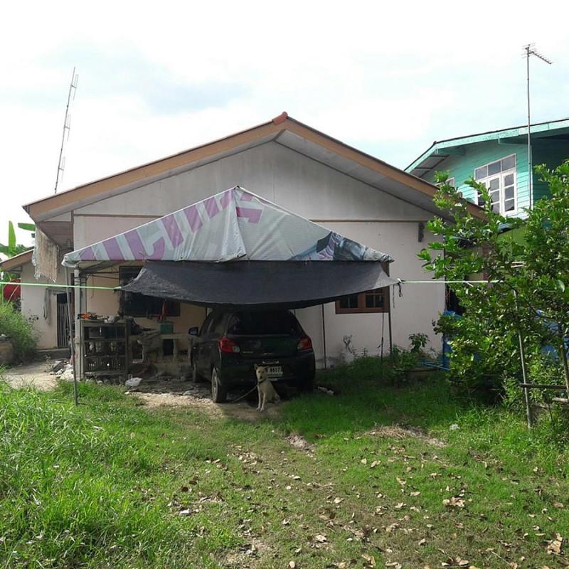 มะขามเฒ่า วัดสิงห์ ชัยนาท