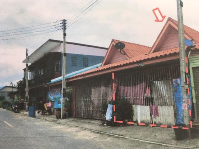 ปลวกแดง ปลวกแดง ระยอง