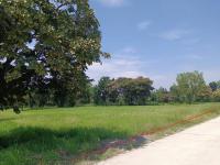 ขายที่ดินว่างเปล่า