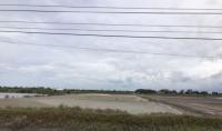 ขายที่ดินว่างเปล่า