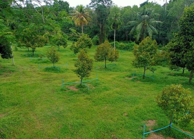 หินตก ร่อนพิบูลย์ นครศรีธรรมราช