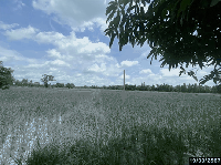 ขายที่ดินว่างเปล่า