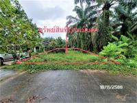 ขายที่ดินว่างเปล่า