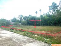 ขายที่ดินว่างเปล่า