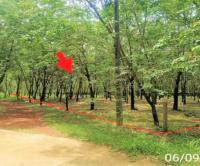 ขายที่ดินว่างเปล่า