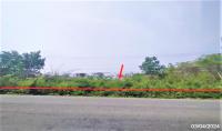 ขายที่ดินว่างเปล่า