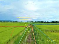 ขายที่ดินว่างเปล่า
