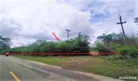 ขายที่ดินว่างเปล่า หนองผือ ท่าลี่ เลย ขนาด 15-1-31.00 ของ ธนาคารกสิกรไทย