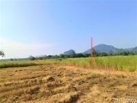 ขายที่ดินว่างเปล่า ทุ่งเสลี่ยม ทุ่งเสลี่ยม สุโขทัย ขนาด 12-2-4.00 ของ ธนาคารกสิกรไทย