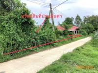 ขายที่ดินว่างเปล่า