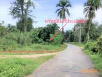 ขายที่ดินว่างเปล่า