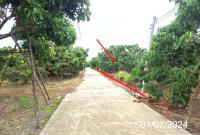 ขายที่ดินว่างเปล่า หนองล่อง เวียงหนองล่อง ลำพูน ขนาด 2-2-38.00 ของ ธนาคารกสิกรไทย