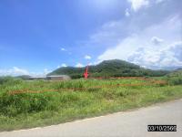 ขายที่ดินว่างเปล่า
