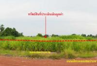 ขายที่ดินว่างเปล่า วังพิกุล วังทอง พิษณุโลก ขนาด 20-3-32.00 ของ ธนาคารกสิกรไทย