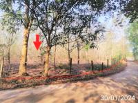 ขายที่ดินว่างเปล่า