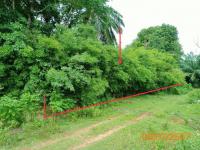 ขายที่ดินว่างเปล่า