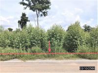 ขายที่ดินว่างเปล่า