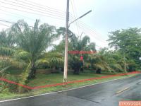 ขายที่ดินว่างเปล่า ฉวาง ฉวาง นครศรีธรรมราช ขนาด 2-3-33.00 ของ ธนาคารกสิกรไทย