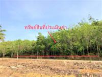 ขายที่ดินว่างเปล่า