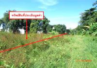 ขายที่ดินว่างเปล่า คลองขลุง คลองขลุง กำแพงเพชร ขนาด 10-2-46.00 ของ ธนาคารกสิกรไทย