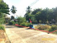 ขายที่ดินว่างเปล่า บางนายสี ตะกั่วป่า พังงา ขนาด 0-0-81.60 ของ ธนาคารกสิกรไทย