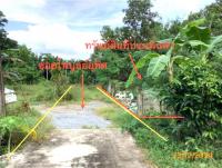 ขายที่ดินว่างเปล่า