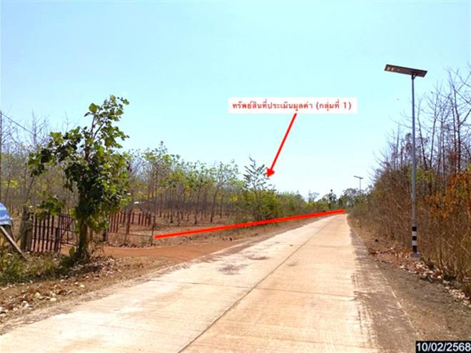 ศรีวิชัย วานรนิวาส สกลนคร
