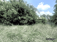 ขายที่ดินว่างเปล่า อาจสามารถ อาจสามารถ ร้อยเอ็ด ขนาด 0-0-89.20 ของ ธนาคารกสิกรไทย